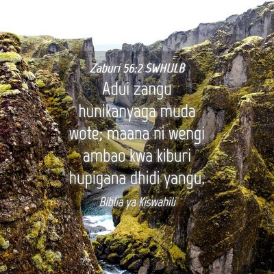 Picture 04 - Zaburi 56:2 SWHULB - Adui zangu hunikanyaga muda wote; maana ni wengi - Bible Verse Picture