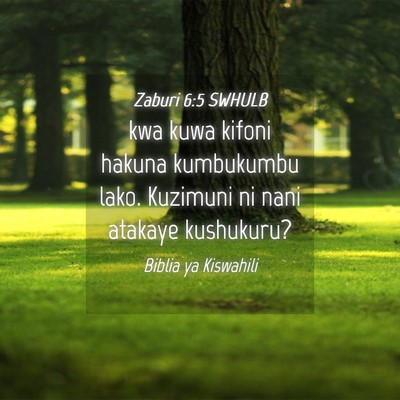 Picture 04 - Zaburi 6:5 SWHULB - kwa kuwa kifoni hakuna kumbukumbu lako. Kuzimuni - Bible Verse Picture