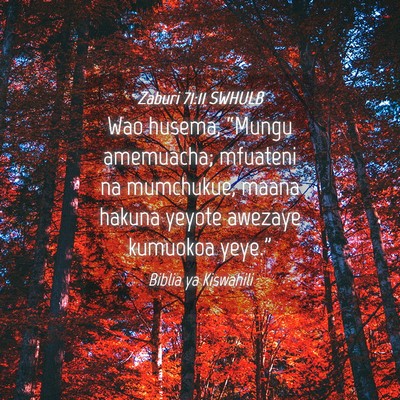Picture 04 - Zaburi 71:11 SWHULB - Wao husema, “Mungu amemuacha; mfuateni na - Bible Verse Picture
