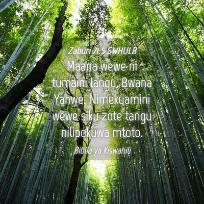 Picture 04 - Zaburi 71:5 SWHULB - Maana wewe ni tumaini langu, Bwana Yahwe. - Bible Verse Picture