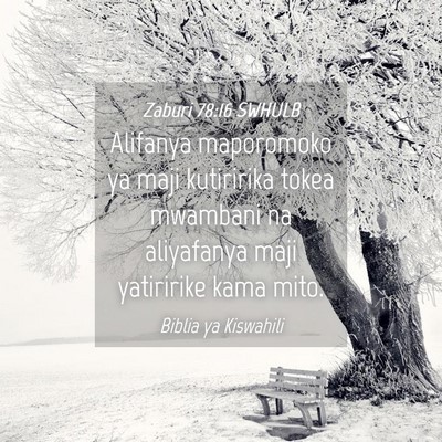 Picture 04 - Zaburi 78:16 SWHULB - Alifanya maporomoko ya maji kutiririka tokea - Bible Verse Picture
