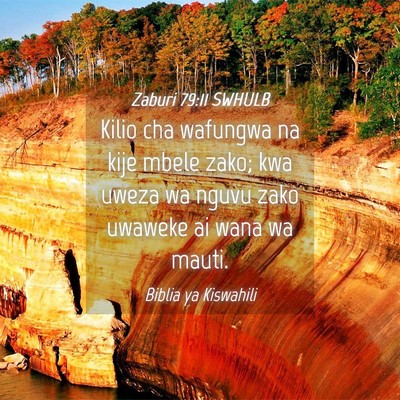 Picture 04 - Zaburi 79:11 SWHULB - Kilio cha wafungwa na kije mbele zako; kwa uweza - Bible Verse Picture