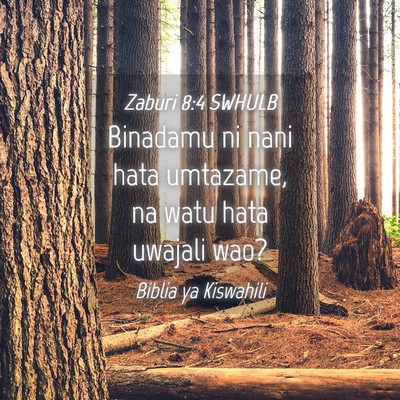 Picture 04 - Zaburi 8:4 SWHULB - Binadamu ni nani hata umtazame, na watu hata - Bible Verse Picture