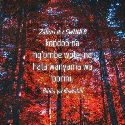 Picture 04 - Zaburi 8:7 SWHULB - kondoo na ng'ombe wote, na hata wanyama wa - Bible Verse Picture