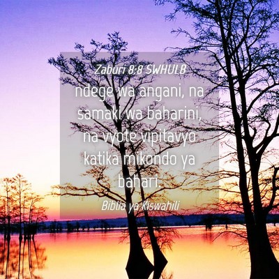 Picture 04 - Zaburi 8:8 SWHULB - ndege wa angani, na samaki wa baharini, na vyote - Bible Verse Picture