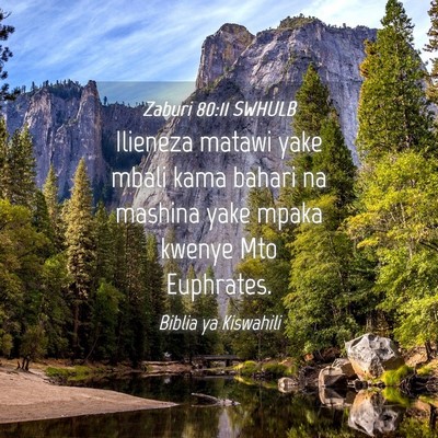 Picture 04 - Zaburi 80:11 SWHULB - Ilieneza matawi yake mbali kama bahari na mashina - Bible Verse Picture