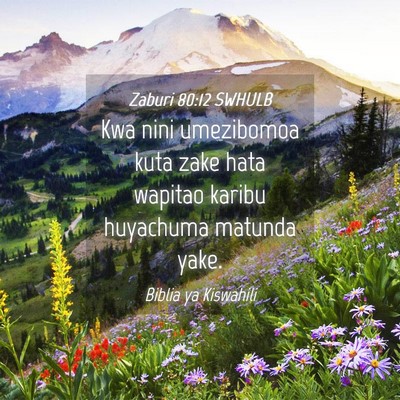 Picture 04 - Zaburi 80:12 SWHULB - Kwa nini umezibomoa kuta zake hata wapitao karibu - Bible Verse Picture