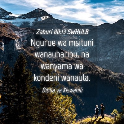 Picture 04 - Zaburi 80:13 SWHULB - Ngurue wa msituni wanauharibu, na wanyama wa - Bible Verse Picture