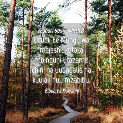 Picture 04 - Zaburi 80:14 SWHULB - Urudi, Ee Mungu wa majeshi; kutoka mbinguni - Bible Verse Picture