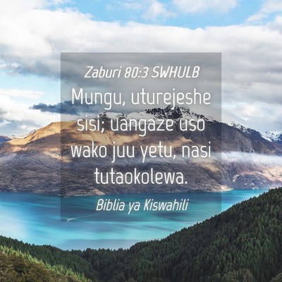 Picture 04 - Zaburi 80:3 SWHULB - Mungu, uturejeshe sisi; uangaze uso wako juu - Bible Verse Picture