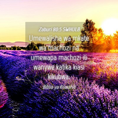 Picture 04 - Zaburi 80:5 SWHULB - Umewalisha wa mkate wa machozi na umewapa machozi - Bible Verse Picture