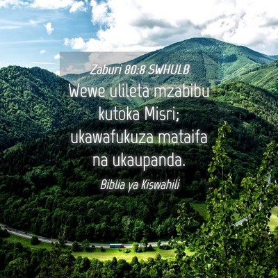 Picture 04 - Zaburi 80:8 SWHULB - Wewe ulileta mzabibu kutoka Misri; ukawafukuza - Bible Verse Picture