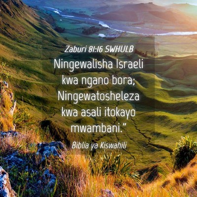 Picture 04 - Zaburi 81:16 SWHULB - Ningewalisha Israeli kwa ngano bora; - Bible Verse Picture