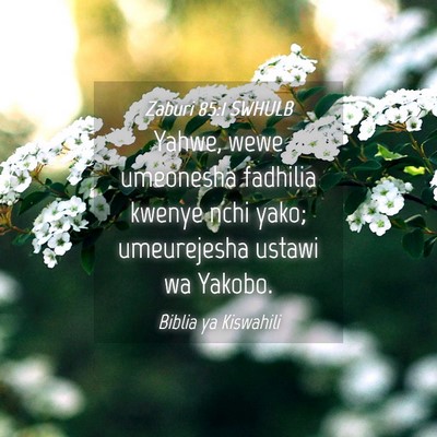 Picture 04 - Zaburi 85:1 SWHULB - Yahwe, wewe umeonesha fadhilia kwenye nchi yako; - Bible Verse Picture