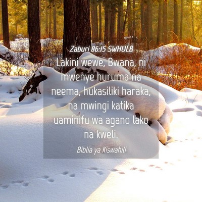 Picture 04 - Zaburi 86:15 SWHULB - Lakini wewe, Bwana, ni mwenye huruma na neema, - Bible Verse Picture