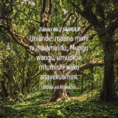 Picture 04 - Zaburi 86:2 SWHULB - Unilinde, maana mimi ni mwaminifu; Mungu wangu, - Bible Verse Picture