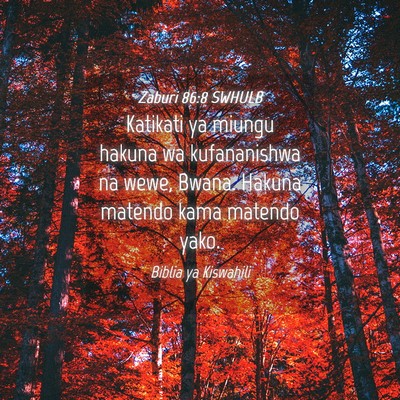 Picture 04 - Zaburi 86:8 SWHULB - Katikati ya miungu hakuna wa kufananishwa na - Bible Verse Picture