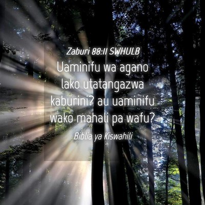 Picture 04 - Zaburi 88:11 SWHULB - Uaminifu wa agano lako utatangazwa kaburini? au - Bible Verse Picture