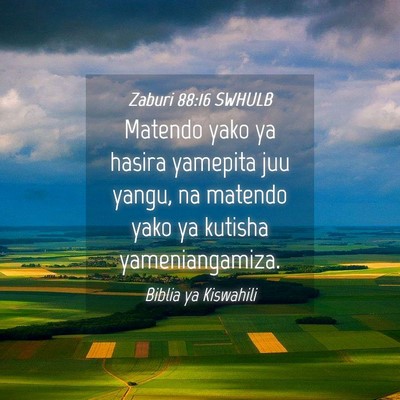 Picture 04 - Zaburi 88:16 SWHULB - Matendo yako ya hasira yamepita juu yangu, na - Bible Verse Picture