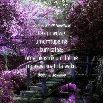 Picture 04 - Zaburi 89:38 SWHULB - Lakini wewe umemtupa na kumkataa; umemkasirikia - Bible Verse Picture