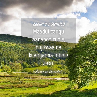 Picture 04 - Zaburi 9:3 SWHULB - Maadui zangu wanaponirudia, hujikwaa na kuangamia - Bible Verse Picture