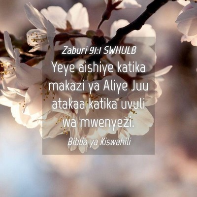 Picture 04 - Zaburi 91:1 SWHULB - Yeye aishiye katika makazi ya Aliye Juu atakaa - Bible Verse Picture