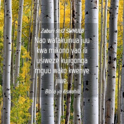 Picture 04 - Zaburi 91:12 SWHULB - Nao watakuinua juu kwa mikono yao ili usiweze - Bible Verse Picture
