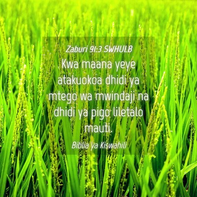 Picture 04 - Zaburi 91:3 SWHULB - Kwa maana yeye atakuokoa dhidi ya mtego wa - Bible Verse Picture
