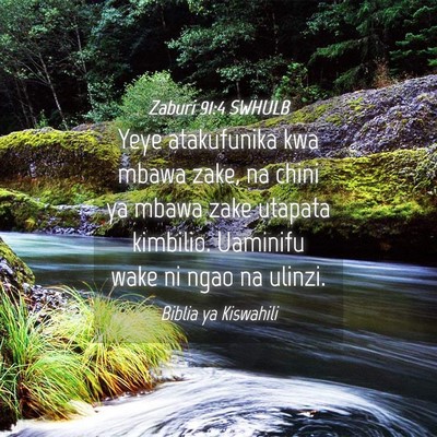 Picture 04 - Zaburi 91:4 SWHULB - Yeye atakufunika kwa mbawa zake, na chini ya - Bible Verse Picture