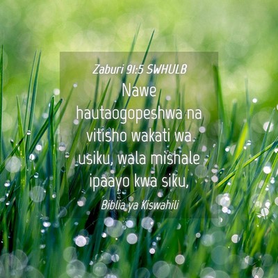 Picture 04 - Zaburi 91:5 SWHULB - Nawe hautaogopeshwa na vitisho wakati wa usiku, - Bible Verse Picture