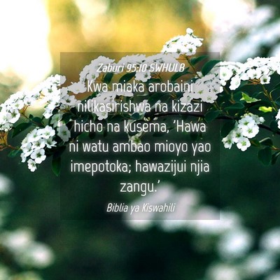 Picture 04 - Zaburi 95:10 SWHULB - Kwa miaka arobaini nilikasirishwa na kizazi hicho - Bible Verse Picture