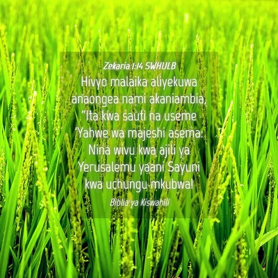 Picture 04 - Zekaria 1:14 SWHULB - Hivyo malaika aliyekuwa anaongea nami akaniambia, - Bible Verse Picture