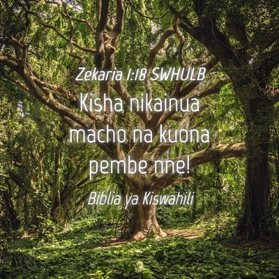 Picture 04 - Zekaria 1:18 SWHULB - Kisha nikainua macho na kuona pembe - Bible Verse Picture