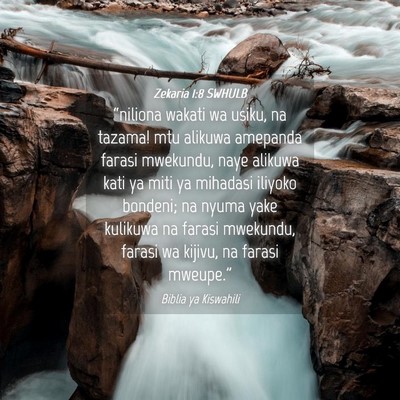 Picture 04 - Zekaria 1:8 SWHULB - “niliona wakati wa usiku, na tazama! mtu - Bible Verse Picture