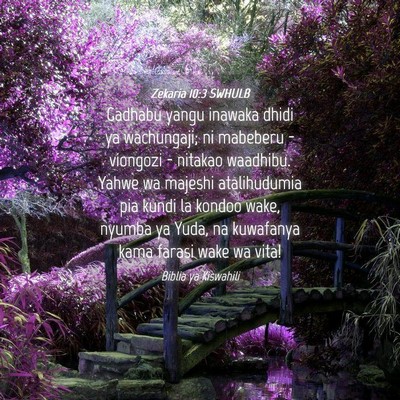 Picture 04 - Zekaria 10:3 SWHULB - Gadhabu yangu inawaka dhidi ya wachungaji; ni - Bible Verse Picture