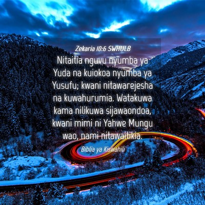 Picture 04 - Zekaria 10:6 SWHULB - Nitaitia nguvu nyumba ya Yuda na kuiokoa nyumba - Bible Verse Picture