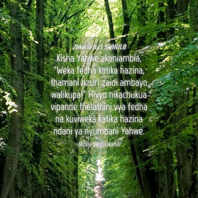Picture 04 - Zekaria 11:13 SWHULB - Kisha Yahwe akaniambia, “Weka fedha katika - Bible Verse Picture