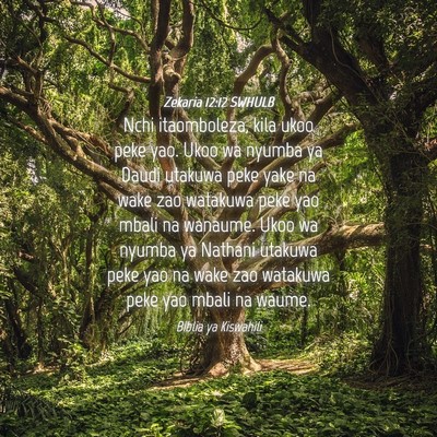 Picture 04 - Zekaria 12:12 SWHULB - Nchi itaomboleza, kila ukoo peke yao. Ukoo wa - Bible Verse Picture