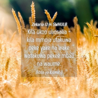 Picture 04 - Zekaria 12:14 SWHULB - Kila ukoo uliosalia - kila mmoja utakuwa peke - Bible Verse Picture