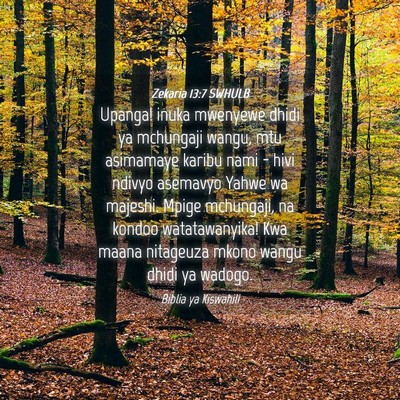 Picture 04 - Zekaria 13:7 SWHULB - Upanga! inuka mwenyewe dhidi ya mchungaji wangu, - Bible Verse Picture