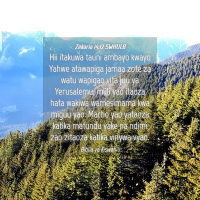 Picture 04 - Zekaria 14:12 SWHULB - Hii itakuwa tauni ambayo kwayo Yahwe atawapiga - Bible Verse Picture
