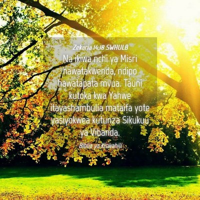 Picture 04 - Zekaria 14:18 SWHULB - Na ikiwa nchi ya Misri hawatakwenda, ndipo - Bible Verse Picture