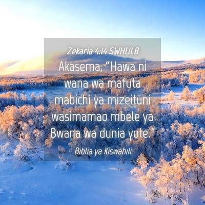 Picture 04 - Zekaria 4:14 SWHULB - Akasema, “Hawa ni wana wa mafuta mabichi ya - Bible Verse Picture