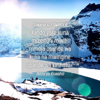 Picture 04 - Zekaria 4:3 SWHULB - Kando yake kuna mizeituni miwili, mmoja upande wa - Bible Verse Picture