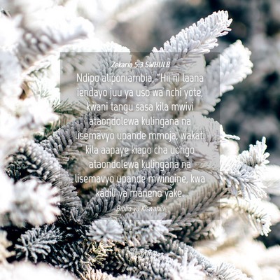 Picture 04 - Zekaria 5:3 SWHULB - Ndipo aliponiambia, “Hii ni laana iendayo juu - Bible Verse Picture