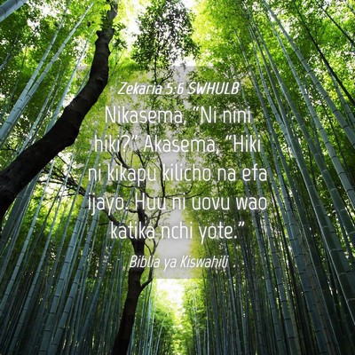 Picture 04 - Zekaria 5:6 SWHULB - Nikasema, “Ni nini hiki?” Akasema, “Hiki ni - Bible Verse Picture