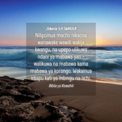 Picture 04 - Zekaria 5:9 SWHULB - Nilipoinua macho nikaona wanawake wawili wakija - Bible Verse Picture