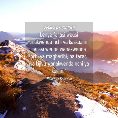 Picture 04 - Zekaria 6:6 SWHULB - Lenye farasi weusi linakwenda nchi ya kaskazini; - Bible Verse Picture
