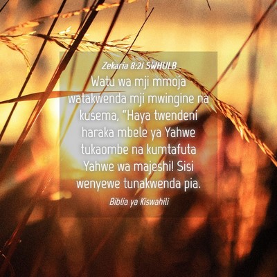 Picture 04 - Zekaria 8:21 SWHULB - Watu wa mji mmoja watakwenda mji mwingine na - Bible Verse Picture