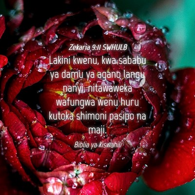 Picture 04 - Zekaria 9:11 SWHULB - Lakini kwenu, kwa sababu ya damu ya agano langu - Bible Verse Picture